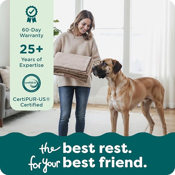 FurHaven Dog Bed Cover Replacement, Sofa-Style Design with Soft, Breathable Fabric for Cozy Comfort, Machine Washable, Jumbo Plus XXL, Plush & Velvet Waves, Brownstone