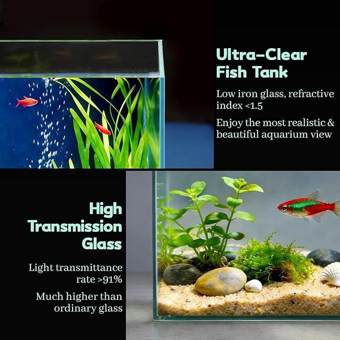 1 Gallon Fish Tank Starter Kit with Fish Net, 1 Water Changer Siphons & 2 Cleaning Cloth, Crystal Clear Glass Fish Tank, Small Fish Tank/Aquarium for Betta & Goldfish, Nice Home Décor