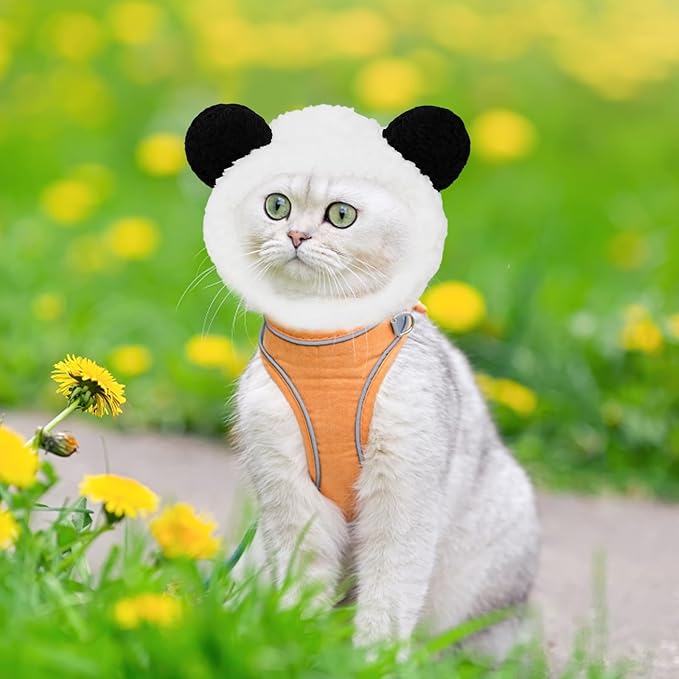 3PCS Cat Wig Costume Set with Panda, Lion Mane and Frog Designs, Cat Wig, Soft and Comfortable Pet Hats for Photo Shoots and Parties, Fits Most Cats