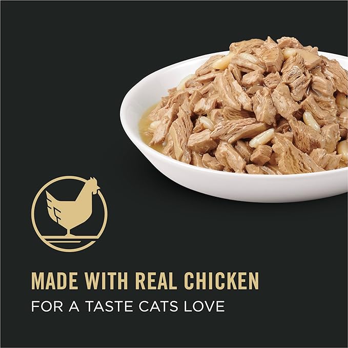 Purina Pro Plan Complete Essentials High Protein Cat Food Wet Gravy,Chicken and Rice Entree - 5.5 Oz. Pull-Top Cans,(Pack of 48)