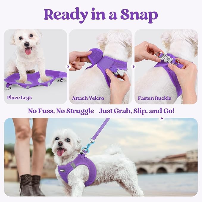 rabbitgoo Dog Harness Small Sized and Leash Set, Step in Soft Light Puppy Vest, Breathable Mesh Pet Harness, Reflective for Safe Outdoor Walking, Purple S