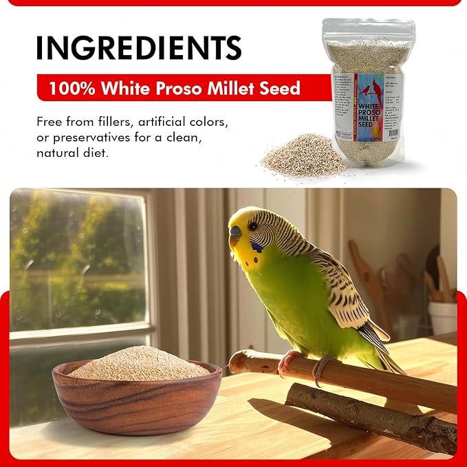 Morning Bird White Proso Millet 1.5 lbs – Natural Bird Seed – Supports Feather Growth & Balanced Nutrition – High Energy Delicious Seed - Ideal for Finches, Parakeets & Pet Birds