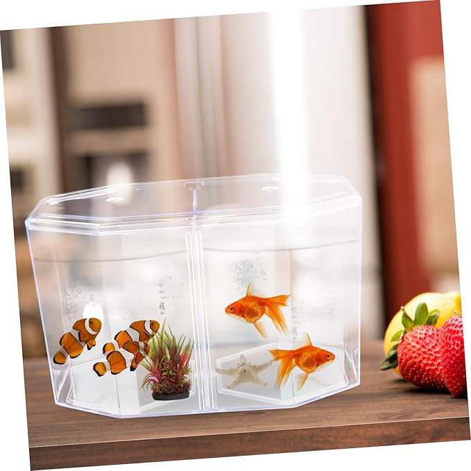 BESPORTBLE Fish Breeding Box Cups Transparent Divider Tank for Guppies Bettas Clownfish Safe Hatchery for Fry Isolation and Increased Survival Rate
