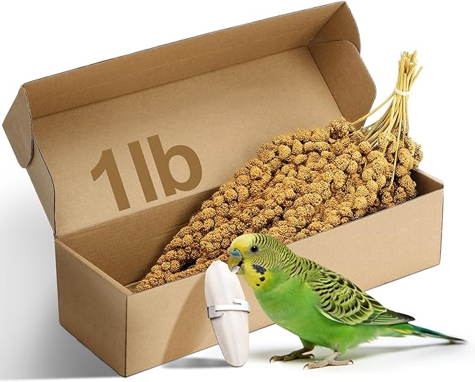 MEWTOGO Spray Millet & Cuttlebone Bird Treats Set - 1lb Hand Selected Golden Millet Treats for Parakeets Cockatiel Lovebirds Canaries Finches, Energy & Calcium Boost