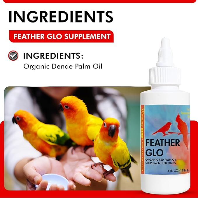 Morning Bird Feather Glo 4 oz – Cold Pressed Red Palm Oil - Natural Vitamin A & E Supplement for Birds – Supports Feather Shine, Skin Health & Immunity – Vitamin & Energy Boost for All Bird Types