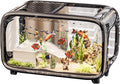 Fish Tank Small, Clear Acrylic Aquarium, Betta Fish Tank with Open Top, Aquatic Animals Container with Easy Cleaning Design, Fishes Bowl and Stable Base for Use Snails Plants Shrimp Turtle