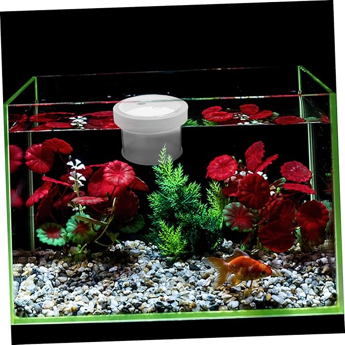 BESPORTBLE Floating Fish Isolation Box Durable Acrylic Aquarium Breeding Box for Fish Hatchery Easy to Clean and Use No Suction Cups Required Transparent Design for Observation