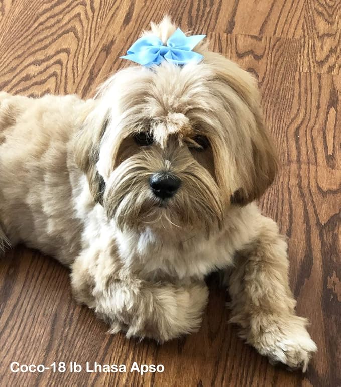 HipGirl Puppy Dog Hair Bows-8ct 3" Small Dog Hair Clips for Grooming,Alligator Clip Styling Accessories for Medium,Small Breeds(Yorkie,Shih Tzu,Maltese)-Multicolor Puppy Bow Set for Daily Wear&Photos