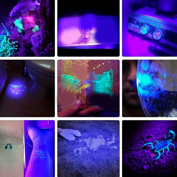 ZJchao 80W Black Light Flashlight Rechargeable LED for Pet Urine Mineral Detection