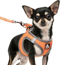 Dog Harness Medium Sized Dogs, Puppy Harness and Leash Set for Training, Running, Walking, Suitable for Small and Medium Dog Vest, Orange, M