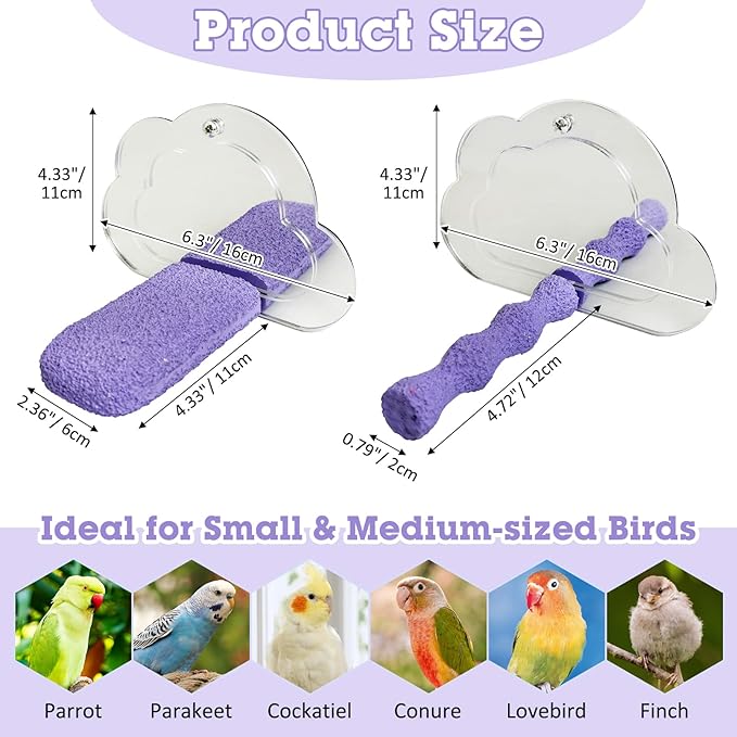 PINVNBY 2 PCS Bird Mirror with Perch Resin Parakeet Perches Hanging Parrot Toys Interactive Bird Cage Accessories for Cockatiel Conure Lovebird Finch (Purple)