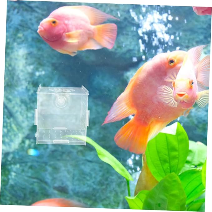 Box Aquarium Breeding Box Dual Purpose Acrylic Isolation Holder for Fish Shrimp Compact Incubator Hydroponic Separator Easy to Clean Maintain