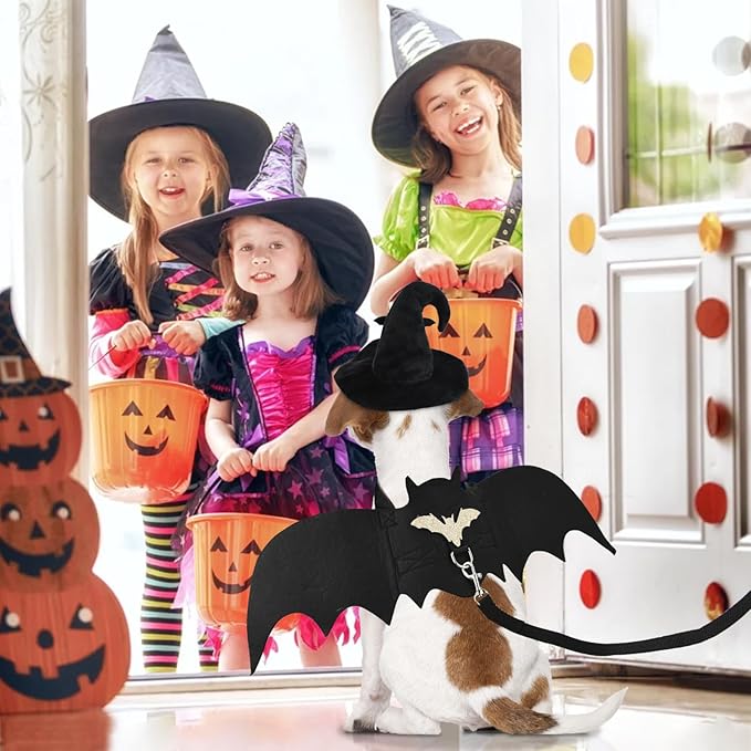 Halloween Pet Costumes Cat Wizard Costume Dog Funny Wizard Clothes Cat Bat Wings Wizard Hat Cute Pumpkin Cloak Outfits for Kittens Puppies