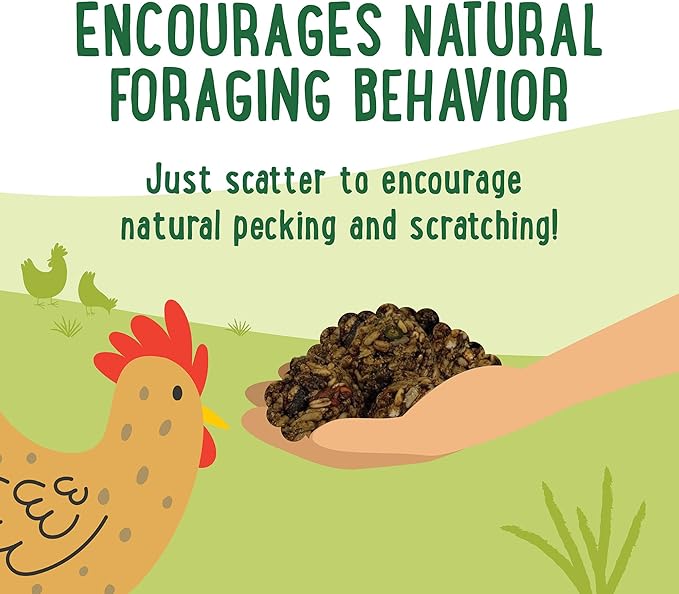 Manna Pro Farmhouse Favorites Forage Clusters for Chickens and Turkeys, Approx. 22 High-Protein Clusters with Black Soldier Fly Larvae, Carrots, Oats & Sunflower Kernels, Nutritious Poultry, 14oz