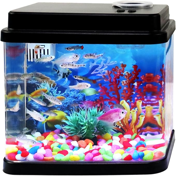 Mini Aquarium, 1 Gallon Small Fish Tank, 6-Color Adjustable LED Fish Bowl, 3-in-1 Dual-Mode Water Pump with Circulation, Oxygenation and Filtration,Ideal Gift and Decoration Choices