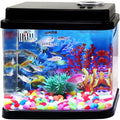 Mini Aquarium, 1 Gallon Small Fish Tank, 6-Color Adjustable LED Fish Bowl, 3-in-1 Dual-Mode Water Pump with Circulation, Oxygenation and Filtration,Ideal Gift and Decoration Choices