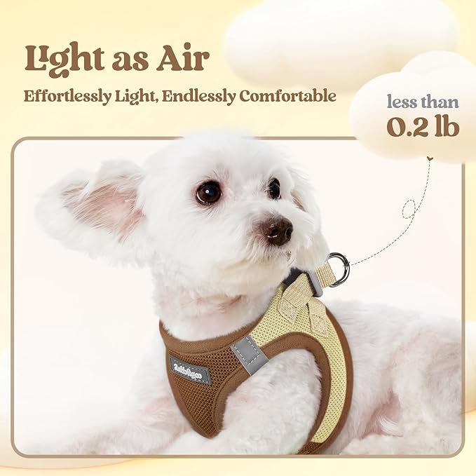 rabbitgoo Dog Harness Small Sized and Leash Set, Step in Soft Light Puppy Vest, Breathable Mesh Pet Harness, Reflective for Safe Easy Walking, Brown & Beige XXS
