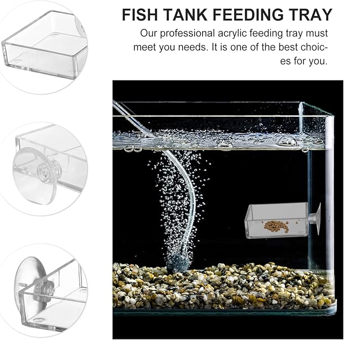 balacoo Aquarium Feeding Plate with Suction Cup Transparent Shrimp Feeder Bowl Adjustable Height Fish Tank Feeder for Freshwater Fish and Shrimp Easy to Clean 2.55 Inch Square