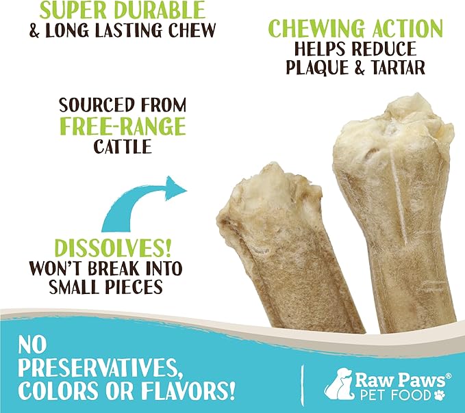 Raw Paws Compressed Rawhide Bones for Large Dogs (10 Pack) - Natural Raw Hides Large Dogs Long Lasting - Single Ingredient Rawhide Chews Dog Bones for Aggressive Chewers