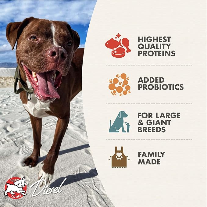 Fromm Heartland Gold Large Breed Adult Dog Food - Dry Dog Food for Large & Giant Breeds - Beef Recipe - 12 lb