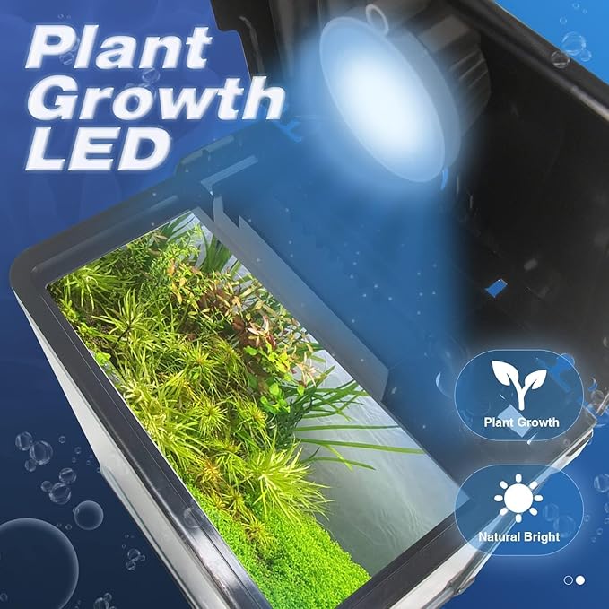 Small Fish Tank, 2 Gallon Glass Aquarium, Betta Fish Shrimp Goldfish Tropical Fish Starter Kit Self Cleaning with Filter & LED Plant Light, Ultra-Quiet Kids Room Decoration Fish Tank