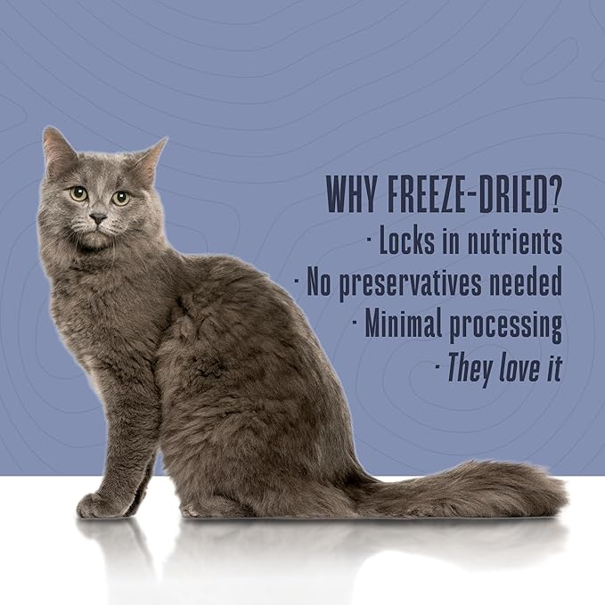 Whole Life Cat Living Treats for Cats – Human Grade Probiotics for Gut Health & Sensitive Stomachs, Natural Digestive Support, Healthy Snacks - Chicken & Yogurt, 1.5 Oz (Pack of 1)