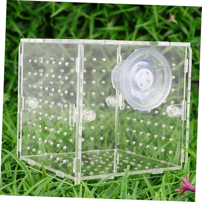Beaupretty Aquarium Isolation Tank Acrylic Fish Breeding Box for Eggs Protection Observation