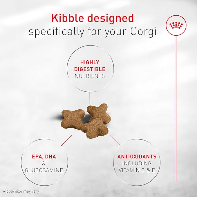Royal Canin Corgi Puppy Dry Dog Food, Kibble for Corgis 2 to 12 Months, Supports Digestion and Bone and Joint Support 2.5 lb Bag