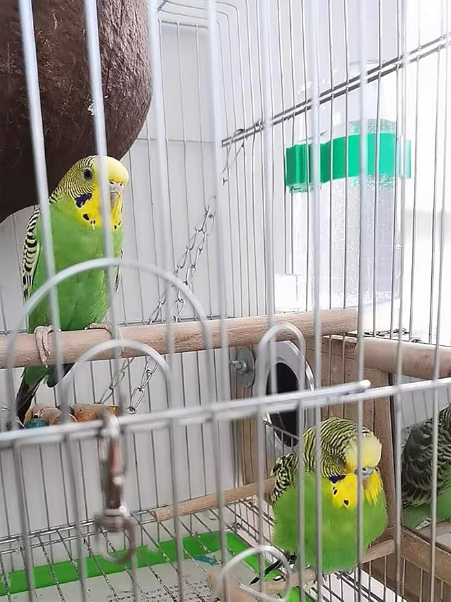 Clpoawc Bird Water Dispenser Outdoor No Mess Automatic Feeder,Parakeet Waterer for Cage,Food Container Bird Cage Accessories Hanging Outside for Lovebird Canary Finch Small Birds (2Pcs), Clear