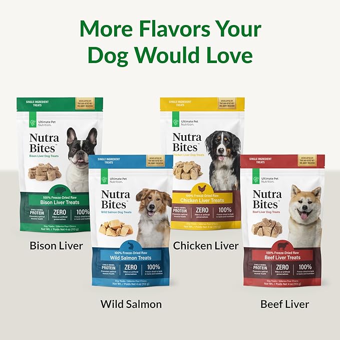 ULTIMATE PET NUTRITION Nutra Bites Freeze Dried Raw Single Ingredient Training Treats Food Topper for Dogs, 4 Ounces, Salmon