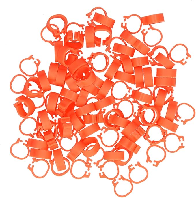 Fydun 100PCS S Leg Rings, 8mm Pigeons Identification Poultry Plastic Bird Foot Clip Pool Vacuum Hoses Bands No Words SuppliesOrange Health Supplies Band for Identify Orange (Orange)
