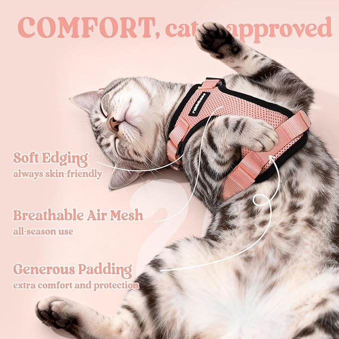 rabbitgoo Cat Harness and Leash for Walking, Escape Proof Soft Adjustable Vest Harnesses for Cats, Easy Control Breathable Reflective Strips Jacket, Light Salmon Pink, XXS