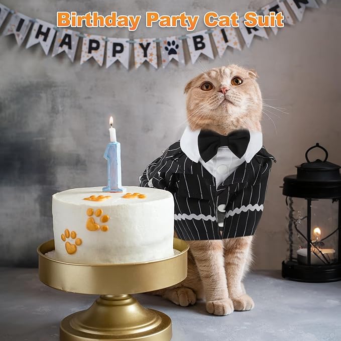 Cat Apparel, Stylish Tuxedo Outfit for Kitty with Tie, Black Stripes Pet Outfits for Wedding, Birthday, Party, XLarge