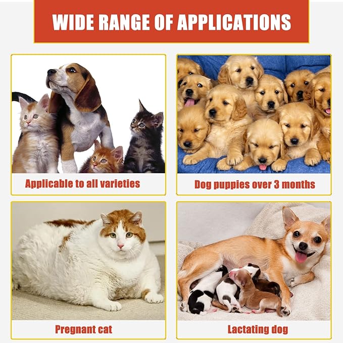 hejhncii 50g Medicated Powder for Bleeding Styptic Powder for Dogs Cats Pet Dogs Cats Skin Care Styptic Powder Pet Styptic Powder