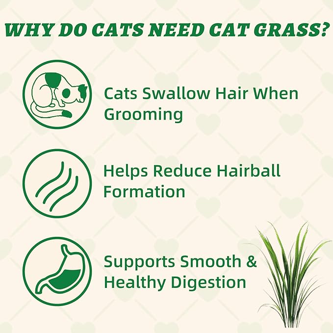 Wellix 13.05oz Organic Cat Grass Treats with Catnip & Salmon - Healthy Cat Treats for Indoor Cats - Hairball Control & Digestive Support - Kittens Training Snacks for Teeth Cleaning