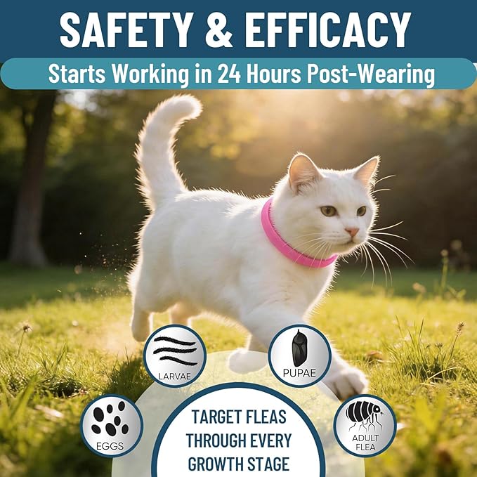 Cat Flea Collar 4 Pack Flea Collar for Cats, Adjustable Waterproof Flea and Tick Prevention for Cats and Kittens - 32 Months Protection - Flea and Tick Treatment - Pink