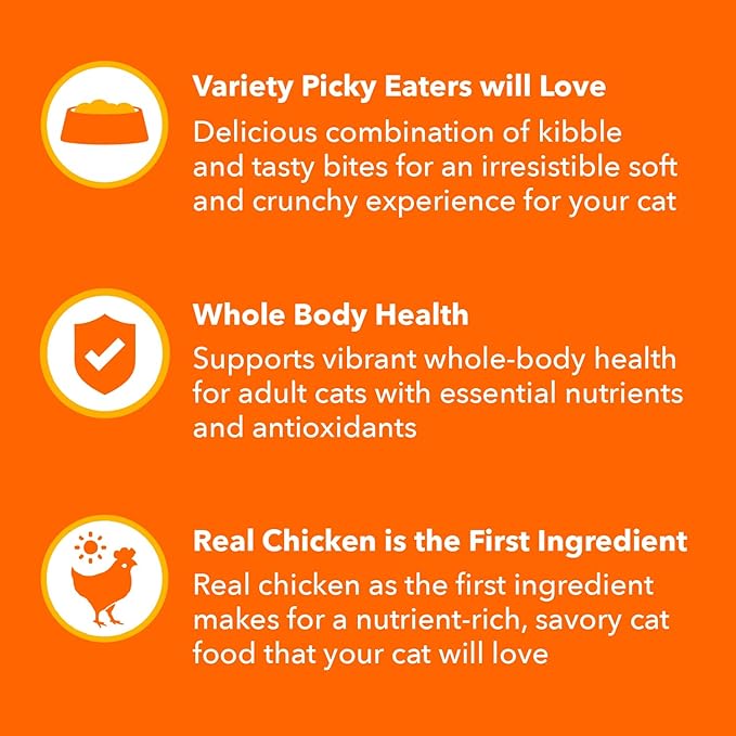 IAMS Healthy Enjoyment Dry Cat Food Chicken & Salmon Recipe, Cat Food Dry Recipe, 3 lb. Bag