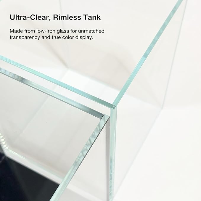 Nano Aquarium Kit 2.2 Gallon, Rimless Glass Betta Fish Tank with Filter & LED Light, 12" x 6" x 8" Small Desktop Fish Tank for Home Office (Transparent, Complete)