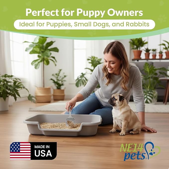 Dog Litter Box, Gray Color, Large Size, Durable & Pet Safe Puppy Litter Box, Indoor Open Top Entry Dog Litter Pan, Comfortable for Dogs, Great for Dogs up to 20 lbs (2 Pack)
