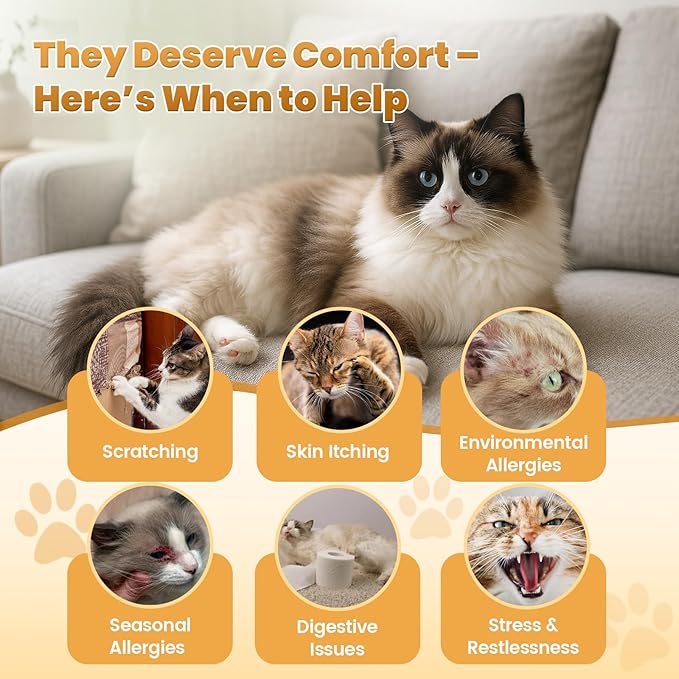 Cat Allergy Relief for Cats Treats, 500 Crunchy Snacks for Immune & Skin Coat Support – Seasonal Allergies, Itching Relief, Omega 3 & Probiotic Natural Supplement for Cat, Chicken (90-Day Supply)