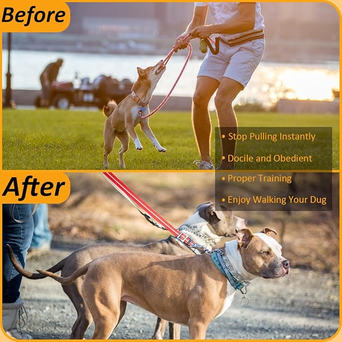 Quick - Release Dog Collar, Metal Leash Collar for Small Dogs, Medium Dogs, Large Dogs (XL(23-26" Neck))