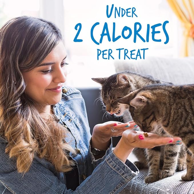 Fruitables Crunchy Low Calorie Treats Packed with Protein for Cats Healthy Free of Wheat, Corn and Soy – Made with Real Chicken with Blueberry – 2.5 Ounces (Pack of 2)
