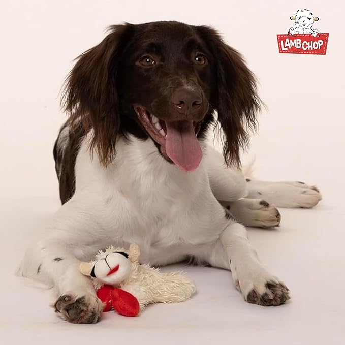 Multipet Lamb Chop Dog Plush Toy - Squeaky Toy for All Dogs - Extra Soft Plush - Stuffed Animal Dog-Toy for Cuddling & Playing - Cute Pet-Toy (6",Cream),(Pack of 2)