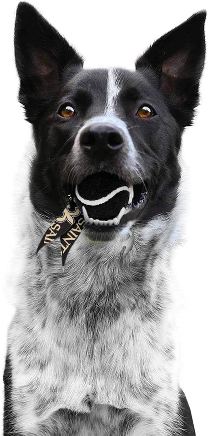 Littlearth NFL Pet Ball Launcher