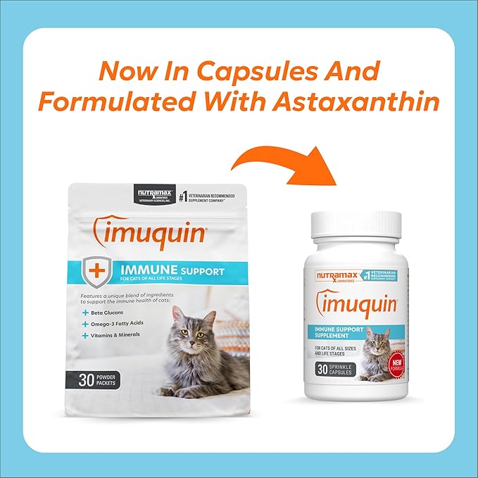 Nutramax Imuquin Health Supplement Powder for Cats, with Beta Glucans, with Astaxanthin, 30 Sprinkle Capsules