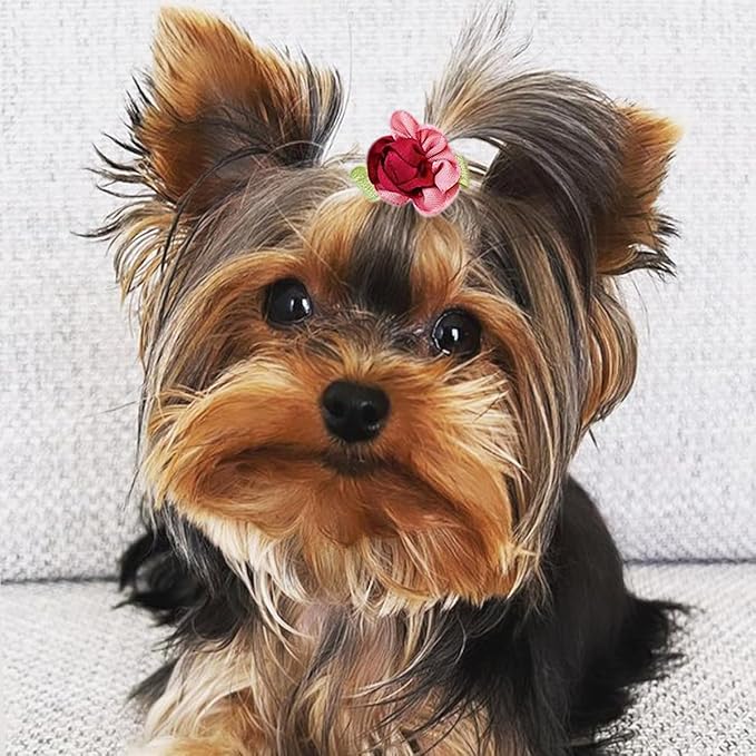 PET SHOW Flowers Pet Dog Hair Bows W/Rubber Bands Cat Puppy Grooming Accessories Assorted Color Pack of 20