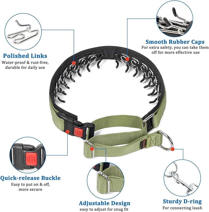 Mayerzon No Pull Dog Collar, Patented Martingale Collar for Small Medium Large Dogs with Buckle and Heavy Duty Nylon for Walking Training Hunting, Safe and Easy to Use(M, Green)