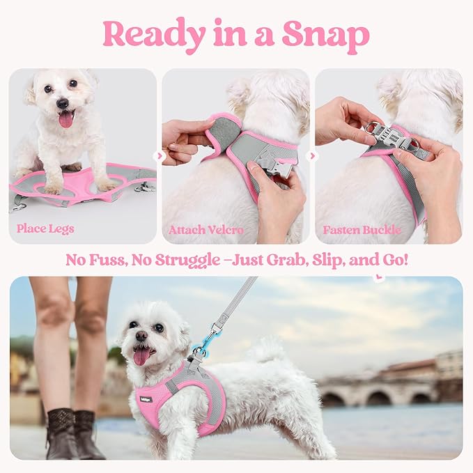 rabbitgoo Dog Harness Small Sized and Leash Set, Step in Soft Light Puppy Vest, Breathable Mesh Pet Harness, Reflective for Safe Easy Walking, Pink & Gray XS