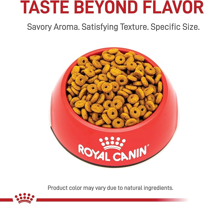 Royal Canin Feline Care Nutrition Appetite Control Care Adult Dry Cat Food, 6 lb Bag