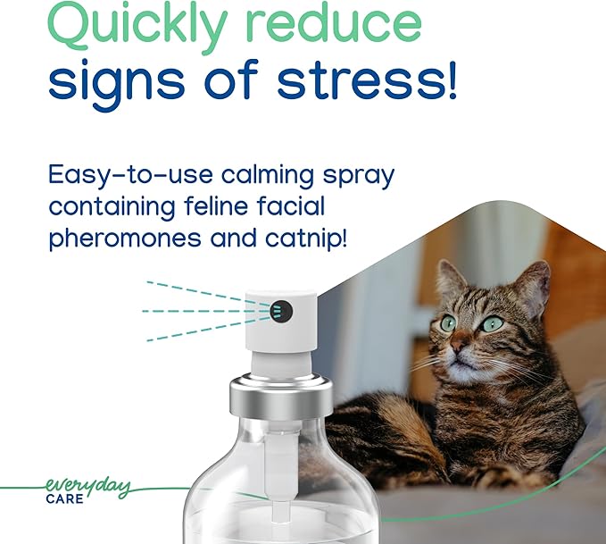 Virbac ZENIFEL™ Spray | Managing Stress-Related Behaviors in Kittens & Cats | Quick-Acting - Ideal for Unexpected Stressful Situations